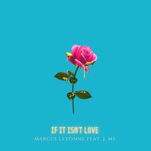 If It Isn't Love(feat. J.ME)