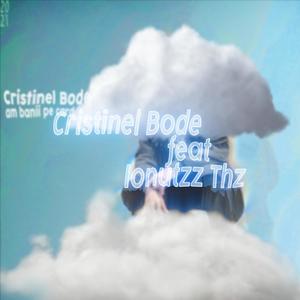 Am banii pe card (feat. Cristinel Bode) [Explicit]