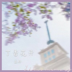 丁香花开