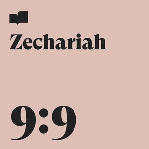 Zechariah 9:9 (feat. John Van Deusen)