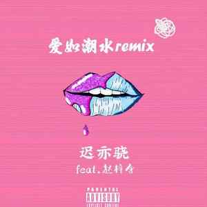 爱如潮水remix