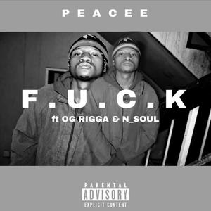 F. U. C. K (feat. OG Rigga & N Soul) [Explicit]