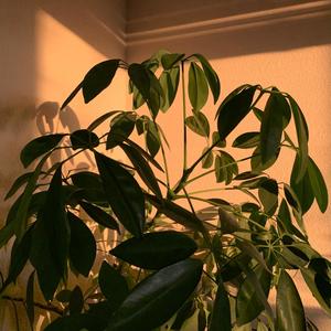 i remember when Jesus renewed me