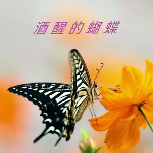 酒醒的蝴蝶