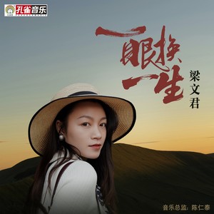 一眼换一生