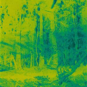 Intermitências da Vida(feat. gonsalocomc)