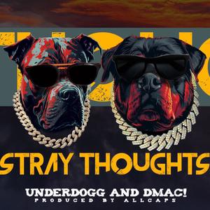 Stray Thoughts (feat. DMAC!) (Explicit)