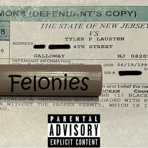 Felonies (Explicit)