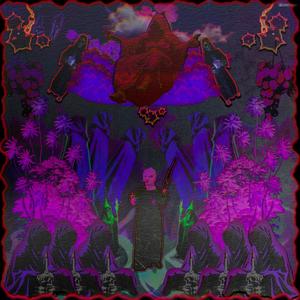 雲の王国に隠された魔法の寺院 (feat. DJ BRO & $.pohhu¥|Explicit)