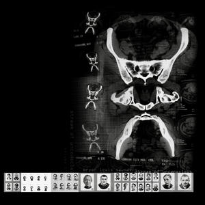 N2 Collection (feat. Carl Michael von Hausswolff) (Explicit)