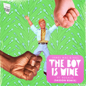 The Boy Is Mine (feat. Rosalie) (Sasson Remix)