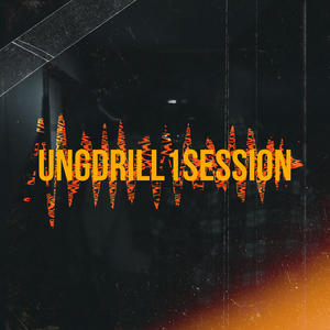 UNGDRILL1SESSION (feat. Vudik & Filipciuc) [Explicit]