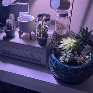 Forgotten (feat. Vizcor) (Explicit)