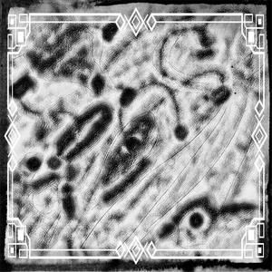 Life In Grey (Explicit)