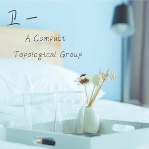 A Compact Topological Group