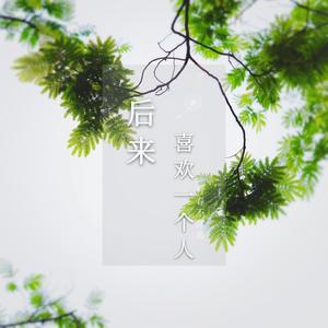 后来喜欢一个人