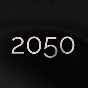 2050 (Explicit)