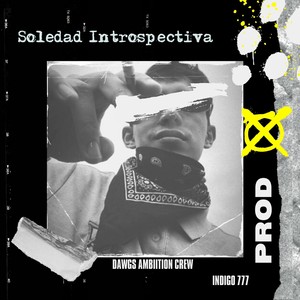 Soledad Introspectiva