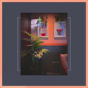 Amelia Quinn - Again (Explicit)