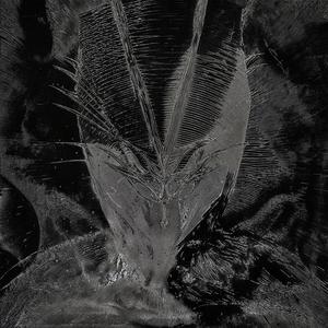 Mantidi (feat. Lowcura & Seven Diosma) (Explicit)