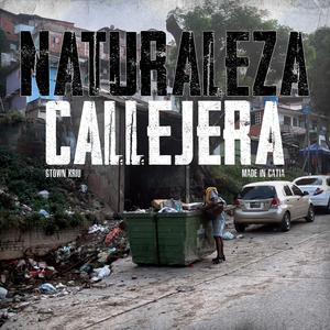 Naturaleza Callejera (feat. Relikia Mic) [Explicit]