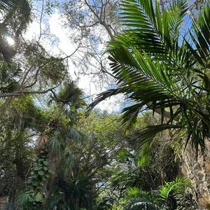 you're not it (Explicit)