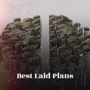 Best Laid Plans