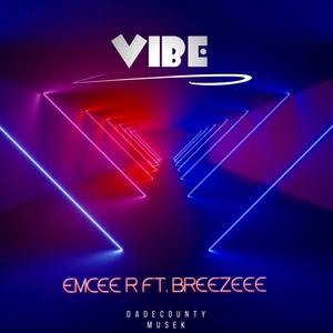 Vibe (feat. Breezeee) [Explicit]