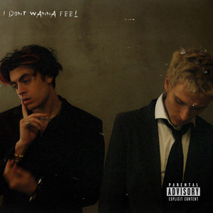 I Don't Wanna Feel (Explicit)