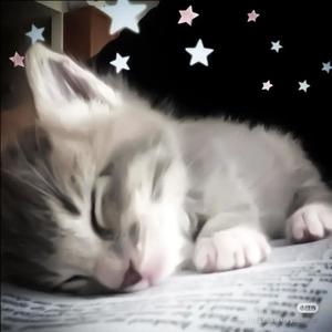 open up! (feat. Waander Goth. & DaRii) (Explicit)