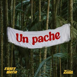 Un Pache (feat. Zūla)