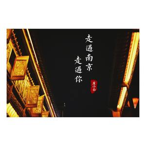 走过南京走过你 (伴奏)