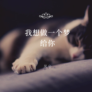 我想做一个梦给你