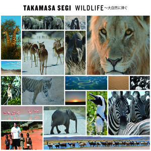 ＢＥＤＯＵＩＮ ～ 砂漠の旅人