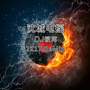 沈城电摇 (2K17 ReMix)