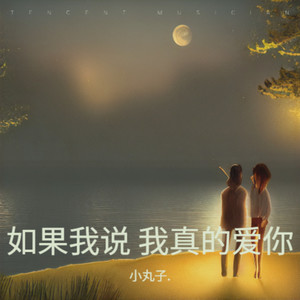 如果我说 我真的爱你