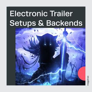 Electronic Trailer Setups And Backends