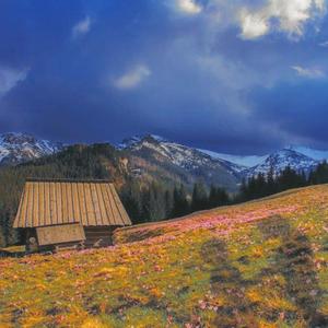 see you later, eren (feat. XtraVert)