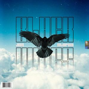Black Wings