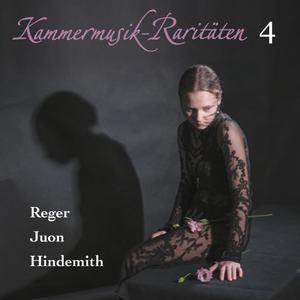 Kammermusik-Raritäten Vol. 4