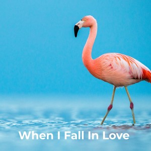 When I Fall In Love