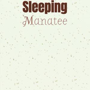 Sleeping Manatee