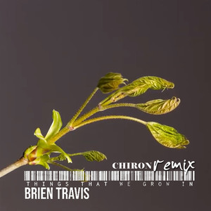 Things That We Grow in (Chiron Remix) [Explicit]