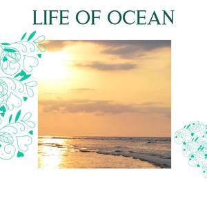 Life Of Ocean