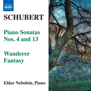 SCHUBERT, F.: Piano Sonatas Nos. 4 and 13 / Wanderer Fantasy (Nebolsin)