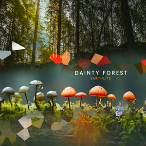 Dainty Forest