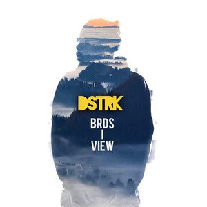 BRDS I VIEW (Explicit)