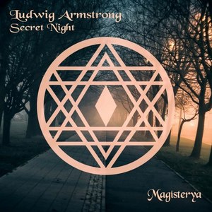 Secret Night (Original Mix)