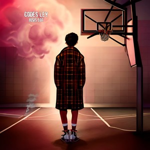 Codes Ley (Explicit)