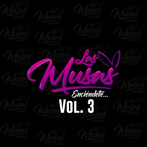 Enciéndete..., Vol. 3